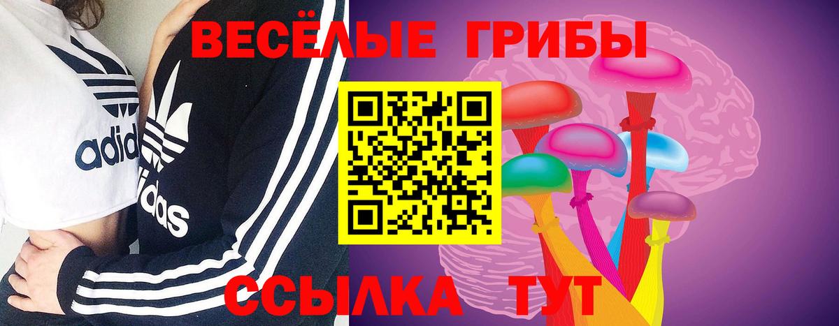 Можайск  Галлюциногенные грибы MAGIC MUSHROOMS  Вход с VPN 
